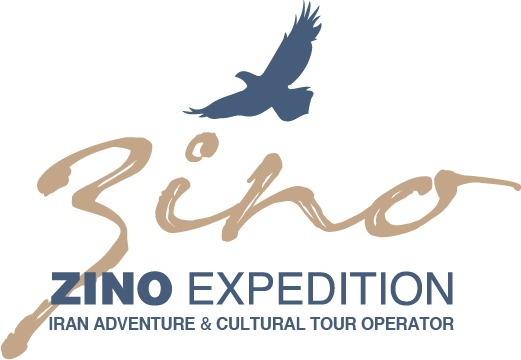 zino logo